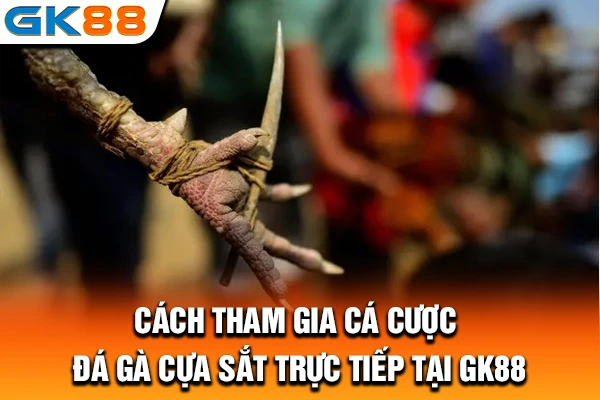 Cách tham gia cá cược đá gà cựa sắt trực tiếp tại GK88