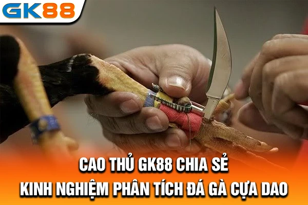 Cao thủ GK88 chia sẻ kinh nghiệm phân tích đá gà cựa dao