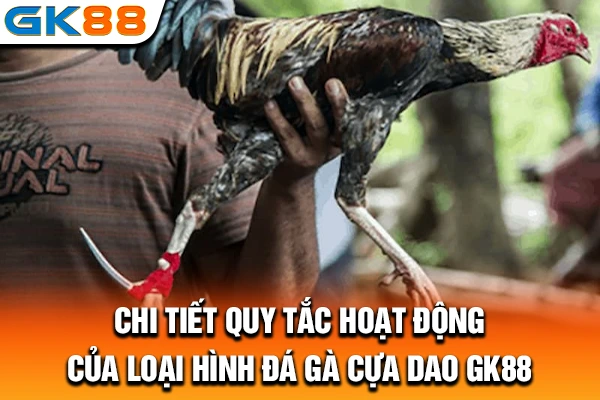 Chi tiết quy tắc hoạt động của loại hình đá gà cựa dao GK88