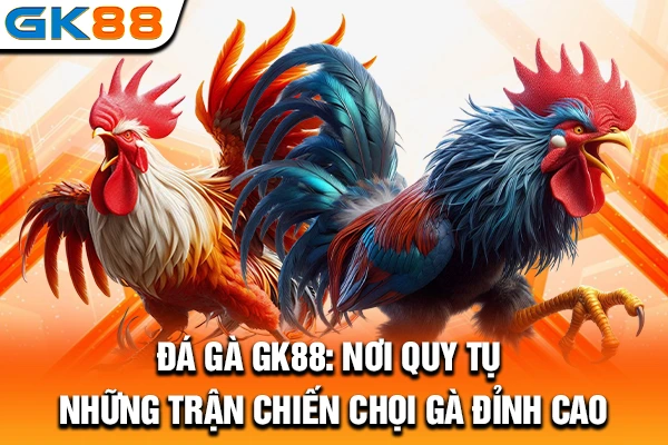 Đá Gà GK88: Nơi Quy Tụ Những Trận Chiến Chọi Gà Đỉnh Cao