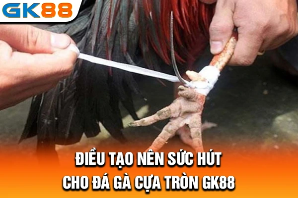 Điều tạo nên sức hút cho đá gà cựa tròn GK88