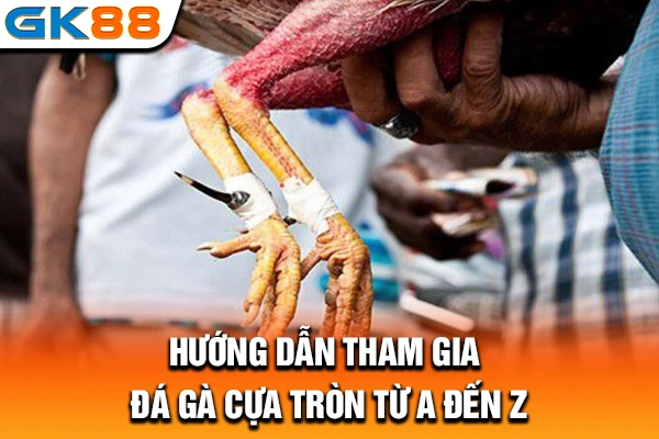 Hướng dẫn tham gia đá gà cựa tròn từ A đến Z
