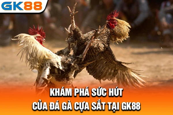 Khám phá sức hút của đá gà cựa sắt tại GK88