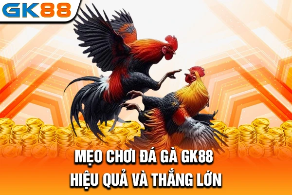 Mẹo chơi đá gà GK88 hiệu quả và thắng lớn