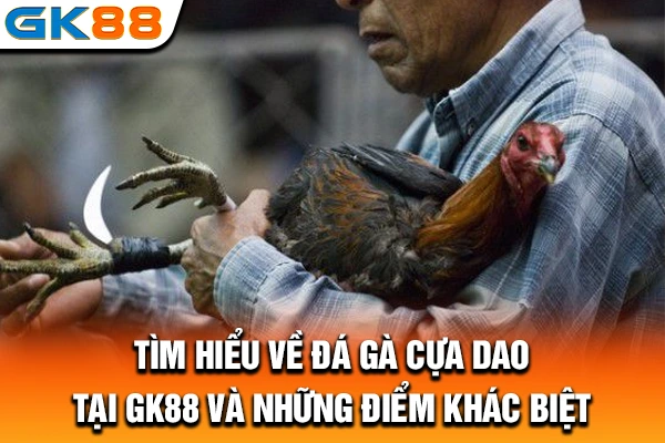 Tìm hiểu về đá gà cựa dao tại GK88 và những điểm khác biệt