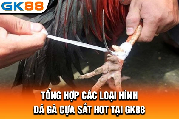 Tổng hợp các loại hình đá gà cựa sắt HOT tại GK88
